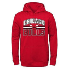 Мужские худи Chicago Bulls
