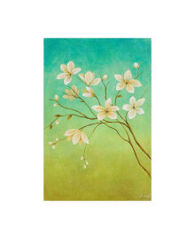 Trademark Global pablo Esteban White Flower Branch 1 Canvas Art - 15.5