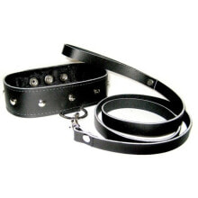 Leather Collar & Leash Set Sportsheets ss432-02