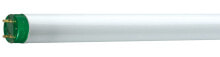 Лампочки philips MASTER TL-D Eco люминисцентная лампа 51,4 W G13 Холодный белый A 26470140