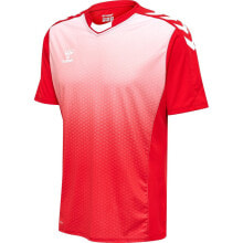 Men's sports T-shirts and T-shirts