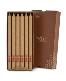 ROOT CANDLES arista Timberline 12