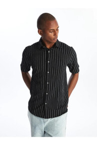 Men's Shirts