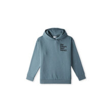 Купить детские толстовки для мальчиков ONeill: O'Neill Future Surf Society Hoodie Jr 92800614974