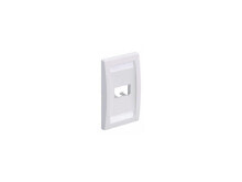 Faceplate, Single Gang, 2 Ports, White