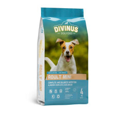 Products for dogs