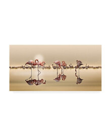 Trademark Global nasser Osman Flamingos Reflection Canvas Art - 20