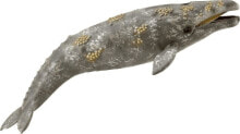 Figurka Collecta GRAY WHALE