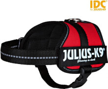 Trixie Harness Julius-K9®, Baby 2 / XS – S: 33–45 cm / 18 mm, red