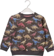 Sweatshirt mit Dino-Motiv, grau, Gr. 110, 1 St