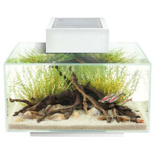 Products for fish and reptiles