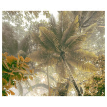 Vlies Fototapete Palms Panorama