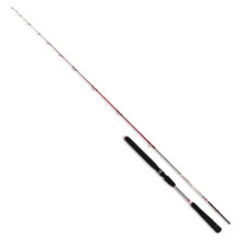 RENZO VALDIERI Reggia Jigging Rod