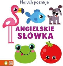 Zielona Sowa Maluch poznaje ... Angielskie słówka 94070