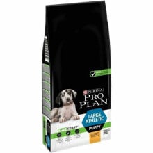 Fodder Purina Large Athletic Puppy with OPTISTART Kid/Junior Chicken 12 kg