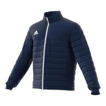 Мужские спортивные куртки Jacket adidas Entrada 22 M IB6071