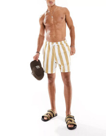 Men's swimming trunks and shorts