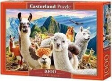 Puzzles for children