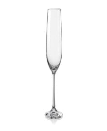 Red Vanilla viola Fluted Champagne Glass 6.5 Oz, Set of 6