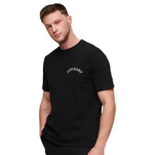 Men's sports T-shirts and T-shirts