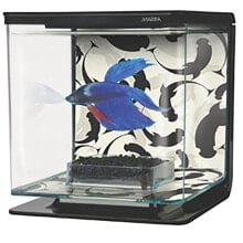 MARINA Betta Ying Yang aquarium kit