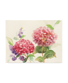 Trademark Global danhui Nai Watercolor Hydrangea Canvas Art - 15.5