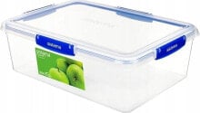 Containers and lunch boxes