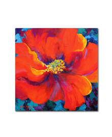 Trademark Global marion Rose 'Passion Poppy' Canvas Art - 35