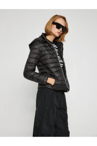 Women's down jackets and winter jackets