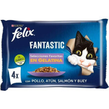 PURINA Fantastic 4x85g cat food with chicken and tuna and salmon and ox 12 units