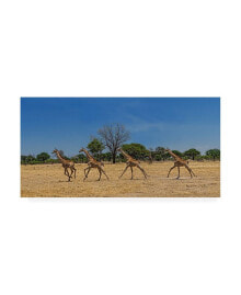 Trademark Global piet Flour Wild and Free Giraffes Canvas Art - 20