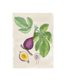 Trademark Global naomi Mccavitt Watercolor Fruit I Canvas Art - 37
