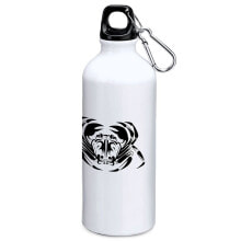 Sports Water Bottles