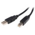 STARTECH USB to B -M/M cable 2m 2.0 A - фото #2