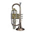 Monzani MZCR-333 Bb-Cornet Copper, Gold Lacquer