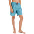 Фото #2 товара PROTEST Hein Swimming Shorts