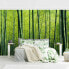 Фото #6 товара Обои Bilderwelten Бамбуковый лес