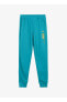 Фото #1 товара Брюки мужские PUMA Mavi 68020503 Men s PANTS TR cl