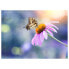 Фото #2 товара Tischset Schmetterling (4er-Set)