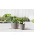 Фото #2 товара Eco pots Amsterdam Modern Round Indoor and Outdoor Planter, 12in