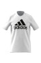 M BL SJ T Beyaz Erkek T-Shirt 101079855