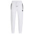 BOSS Hadiko 1 10252100 sweat pants