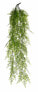 Фото #1 товара Künstliche Hängepflanze Zypresse
