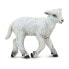 Фото #1 товара Фигурка Safari Ltd Lamb Figure Wild Safari Animals (Дикие сафари животные).