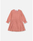 Girl Chiffon Swiss Dot Heart Dress With Pleated Skirt Pink Cinnamon - Child