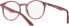 Фото #6 товара Очки Ray-Ban Ladies Ry1594 Round Glasses