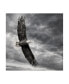 Фото #1 товара PH Burchett Eagle in Flight Canvas Art - 20" x 25"