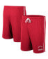 ფოტო #1 პროდუქტის Men's Cardinal Arkansas Razorbacks Thunder Slub Shorts