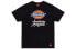 T-shirt Dickies LogoT DK007087CC2