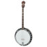 Фото #1 товара Gold Tone TS-250 Tenor Banjo w/Case